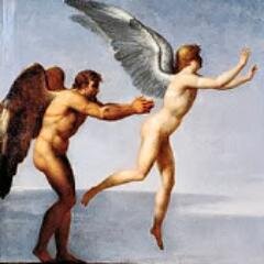 aptgroups's profile picture. 