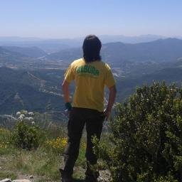 MiguelSF96 Profile Picture