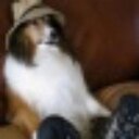 Frank Daigle - @steppenwolf53 - Twitter