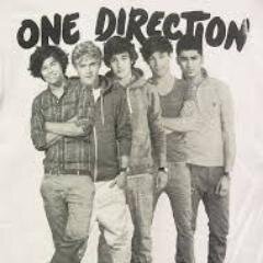 Fã da Boy Band One Direction!!! (segue você de volta)