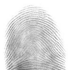 maxcoppeta's profile picture. Artista classe 80' autore della prima opera scannografica della Storia dell’Arte Contemporanea (Il Regalo di Dio, 1998). Visita il sito https://t.co/GfCITrya1T