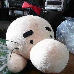 Mobaron On Twitter 刺青文化のマオリ族女性を入浴拒否 温泉側には全く否がない 責任があるとすれば確認を取らなかったマオリ族関係者だ 文化 風習だから刺青受け入れろと言うのは横暴でしかない 刺青がヤクザの風習だと言われても受け入れなければならない