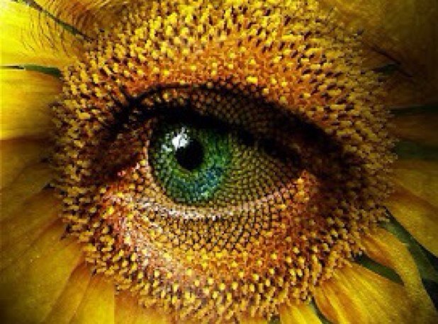 Pure Image boldly seeks out undiscovered natural young beauty for assignments worldwide