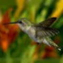 totfubi's profile picture. Нет означает нет, а не я дорогая штучка.