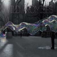 wildpromises (@wildpromisesirl) 's Twitter Profile