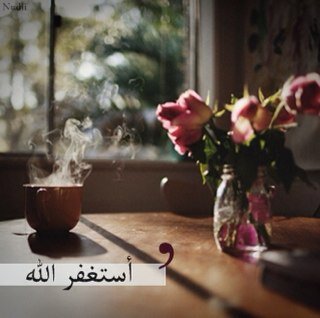 لست شاعره ولا روائيه ولكني متذوقه
