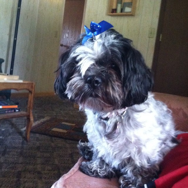 youtubesubss's profile picture. Chris Parente is a total BOSS!