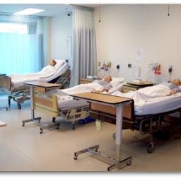 Promoting excellence in simulation education at Mohawk College