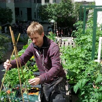 Green Native - Urban Gardening / Urban Farming based on DIY-solutions.#TagTomat aka. #RoofTomato. #OpenSource #dkgreen #urbangardening #urbanfarming #DIY