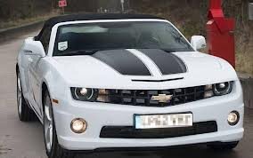 lucascalsavari's profile picture. amo carros