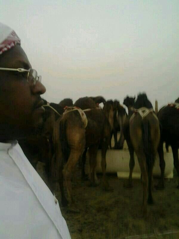 saeed223495's profile picture. 