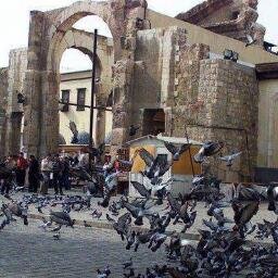 basemallaham's profile picture. 