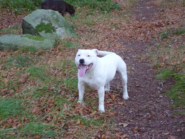 Grant_Slating's profile picture. 