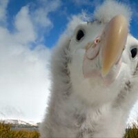 Alberto Teixido (@atacamaphoto) 's Twitter Profile