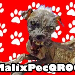 Tengo rabia y comienzo a morder a todos sin distinción alguna soy el MalixPec y si, soy tan corriente que hasta doy toques como ves!