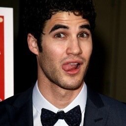 i ship crisscolfer, chris and darren are soulmates.