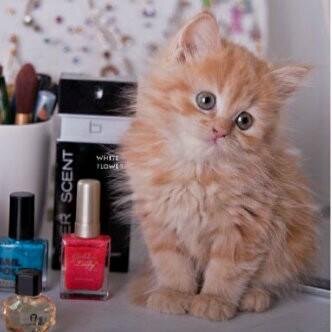 ♥♥