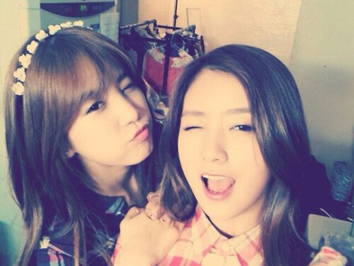 a pink chorong~! tapi roleplayernya. { FΔVOR,sunted,KFC} | 91lain