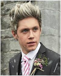 Directioner!