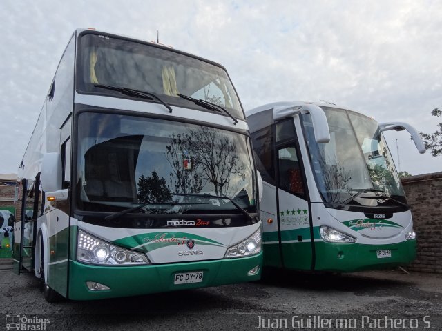 asintente de buses en ruta