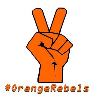 Think partisan politics roadblock progress? Feel voting Democrat vs. Republican is choosing the lesser of two evils? Then wear orange on election days to rebel!