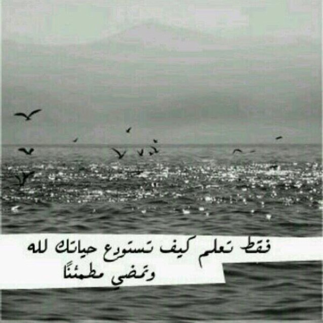 حكمة_أعجبتني: لآ تُكْثِر الشَّكْوَىَ فيأتيك الهَّمْ وَلكن أَكْثِر مِنْ قول: الحَمْدُ لِلَّه~* تَأتيكَ السَّعَادَة..!