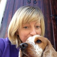Jenny Wright (@wrightjennyc) 's Twitter Profile