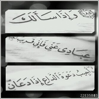 ( قل ما يعبأ بكم ربي لولا دعاؤكم )