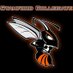 Stamford Hornets (@stamfordnation) Twitter profile photo
