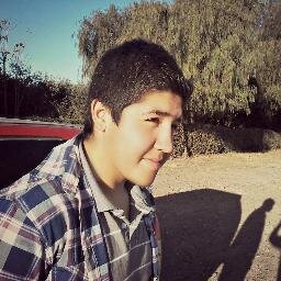 constructor de cohetes, especialista en pizzas , amante de gigantes.