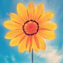 Donna McGowan - @DonnaDonnaMcG - Twitter