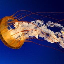 TonyGTe's profile picture. one day at a time...