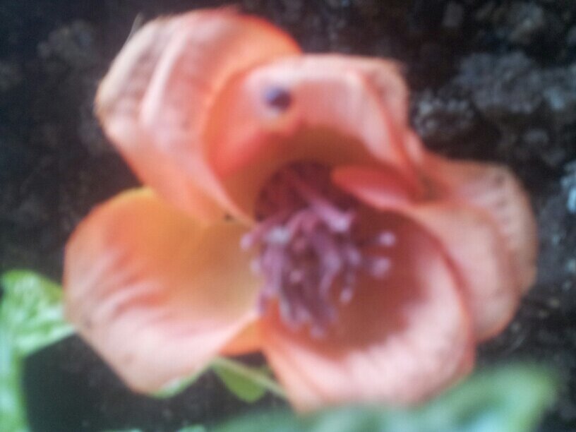 11Sabren's profile picture. 