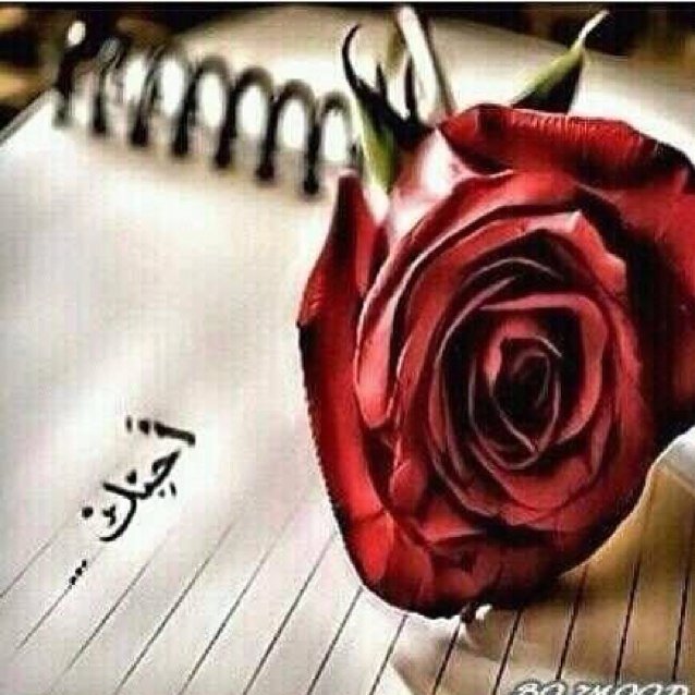 مؤمنه بأن للحياه ان تنتهي في أي لحظه ~ ربّ إغفر لي و لوالديّ ولا تقبض روحي إلا و انت راضِ عنّي~
1991. م