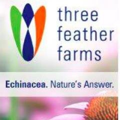 Three Feather Naturals #Echinacea, A Natural Approach to Cold & Flu Symptoms, Building Immunity & Other Health Benefits.