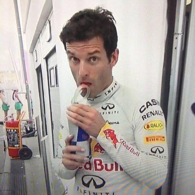 mark webber fan