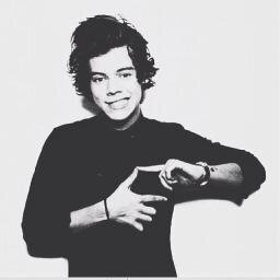 harry styles is my bitchs