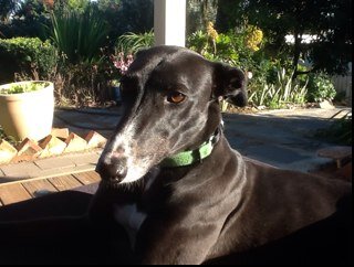 RoybnD's profile picture. 