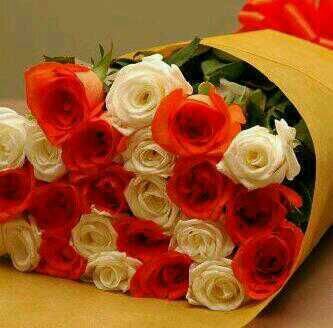 thord05071's profile picture. 