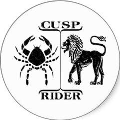 ShijilVellekat's profile picture. 