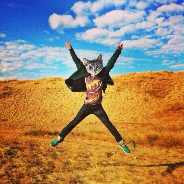 iamrolee's profile picture. TV Production Ninja 🎬 | My work includes costume & dissecting the scipt