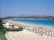 Magaluf_Retweet's profile picture. I will retweet anything mentioning Magaluf! Keep up to date with all the News & Gossip in one follow!