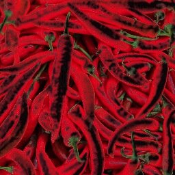 SpiceTravel24's profile picture. Reisen und Genuss - a Travel Blog