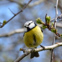 Loves wildlife photography, Sci-Fi & Fantasy, prog, metal, long walks in the countryside & spending time with my crazy family! https://t.co/6BlVvbl15i