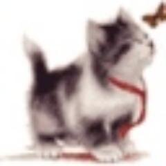 lissonarip Profile Picture