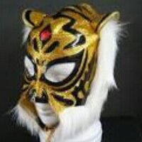 虎鋼@ミミック (@ndc_kogane) 's Twitter Profile Photo