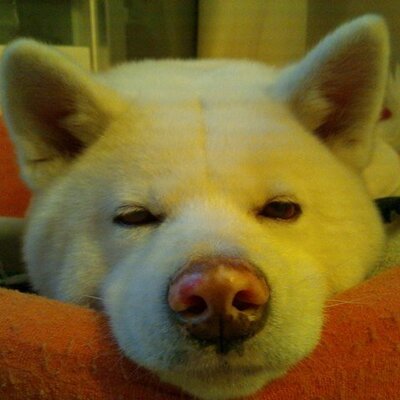おもしろのコピペ集 将棋の戦法名 藤井システム 魔界四間飛車 中田功xp ゴキゲン中飛車 白色レグホーンスペシャル 端歩突き越し角交換ダイレクト向かい飛車 ミレニアム これだけでも将棋の楽しさが分かってもらえると思う おもしろのコピペ集 将棋の戦法名 藤井システム 魔界四間飛車 中田功xp ゴキゲン中飛車 白色レグホーンスペシャル 端歩突き越し角交換ダイレクト向かい飛車 ミレニアム これだけでも将棋の楽しさが分かってもらえると思う