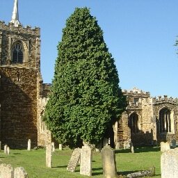 The parish church of St Mary the Virgin, Gamlingay, Cambridgeshire.