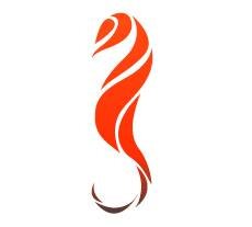 Agence de communication en Freelance spécialisée en création graphique & site web