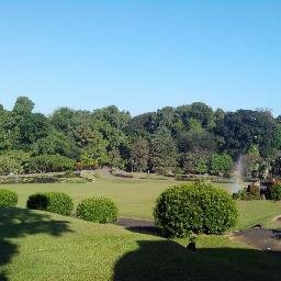 radensun's profile picture. 